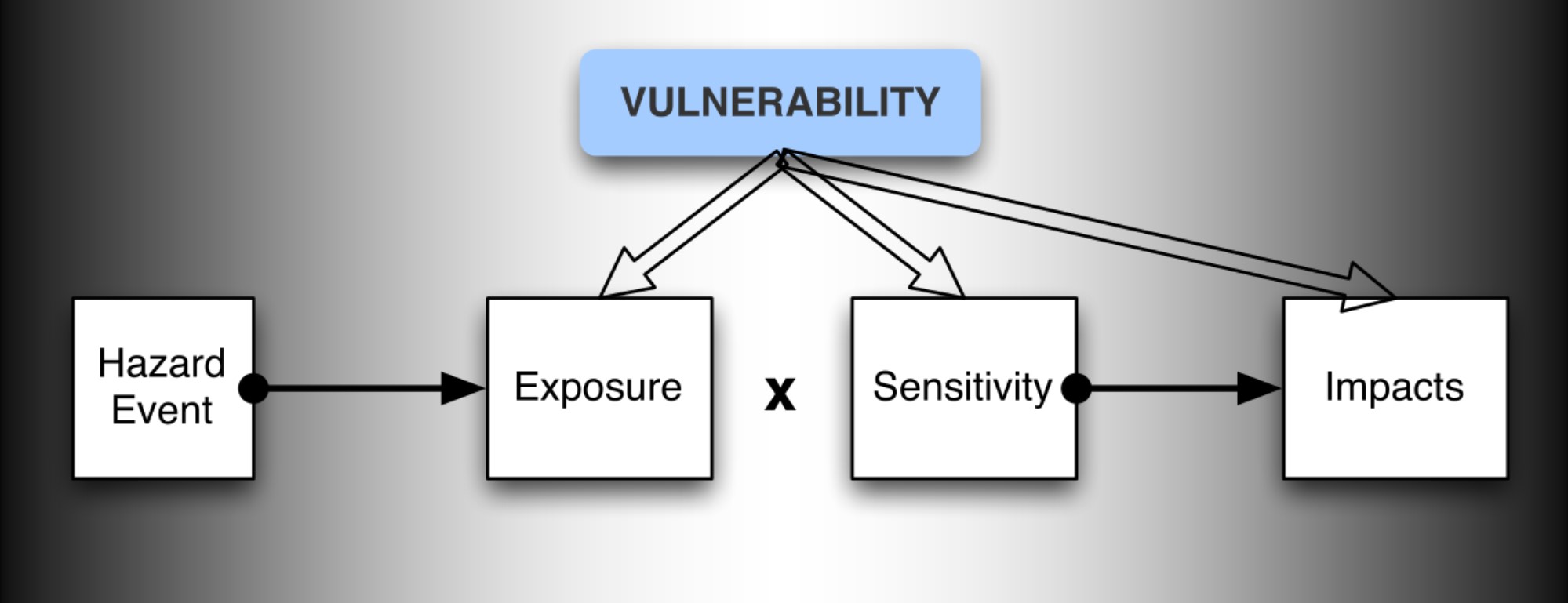 What is vulnerability identification in disaster management?